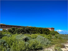 17-DryTortugas
