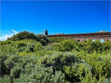 18-DryTortugas