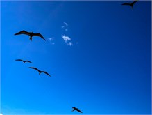 30-DryTortugas