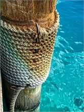 50-DryTortugas