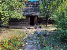 056_1005a-Dimitrie-Gusti