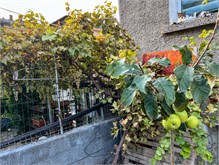 016_1007-Nikopol-Bulgaria