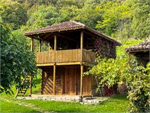 004_1009a-Lepinski-Vir-Serbia