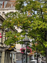 037_1010-Belgrade-Serbia