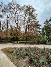 018_1011-Novi-Sad-Serbia