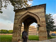 016_1011a-Ilok-Croatia