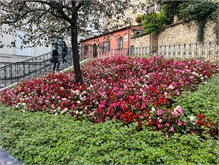 027_1013-Zagreb-day2