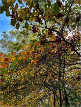 072_1013-Zagreb-day2