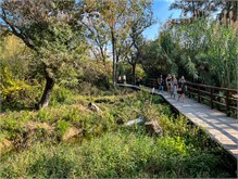 049_1014b-Krka-Natl-Park