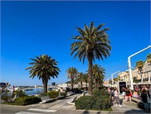 052_1016-Split-Day2