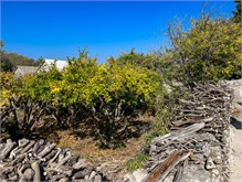 013_1016a-Brac-Island