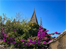 048_1016a-Brac-Island