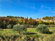 004_1016-Dalmatian-Scenery