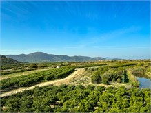 013_1016-Dalmatian-Scenery