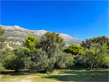 039_1016-Dalmatian-Scenery
