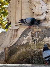 081_1017-Dubrovnik-day2