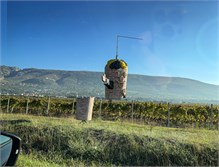 016_1018-Herzovina-Scenery
