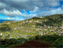 10Funchal-Madeira