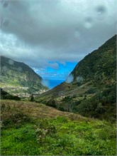 13Funchal-Madeira