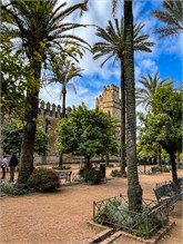 04-Cordoba