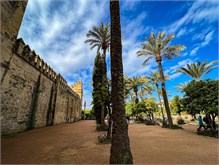 10-Cordoba