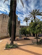 13-Cordoba