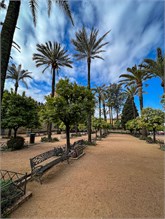 15-Cordoba