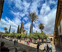 62-Mosque-Cathedral