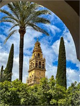 63-Mosque-Cathedral
