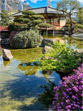 11JardinJaponais