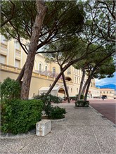 18MonacoPalace