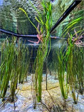 12Musee_Oceanography