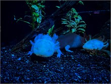 18Musee_Oceanography
