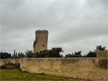 36Malta