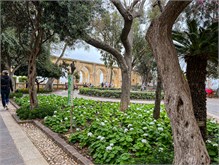46Valletta