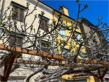 40Piran_Slovenia