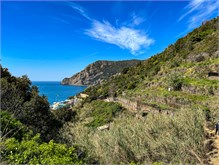 05Monterossa2Vernazza