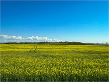04-Prahova-Valley