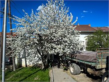16-N_Macedonia-Scenery