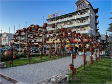 07-Lake-Ohrid