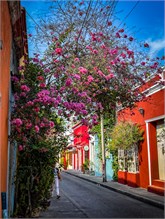 33-Getsemani_2023
