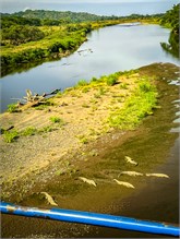 07-Puntarenas-2023