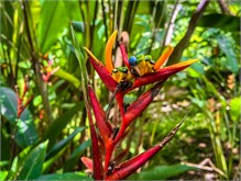 23-Puntarenas-2023