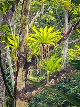 25-Puntarenas-2023