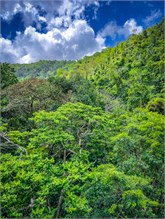 43-Puntarenas-2023