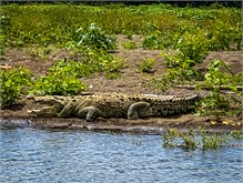 02-Rio_Grande_Tarcoles