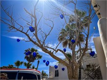 39-Cabo_San_Lucas