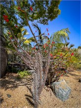 23-San_Diego-2023
