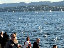 37-Zurich-2024