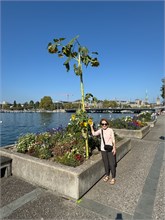 47-Zurich-2024